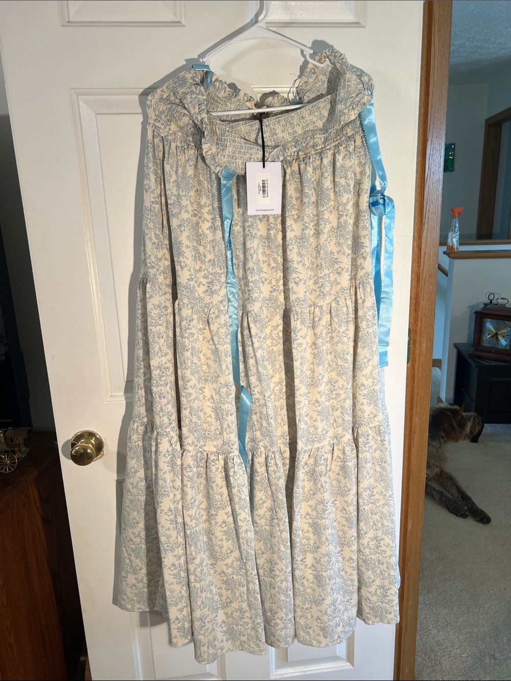 Blue Floral Maxi Dress with Ruffle Neck